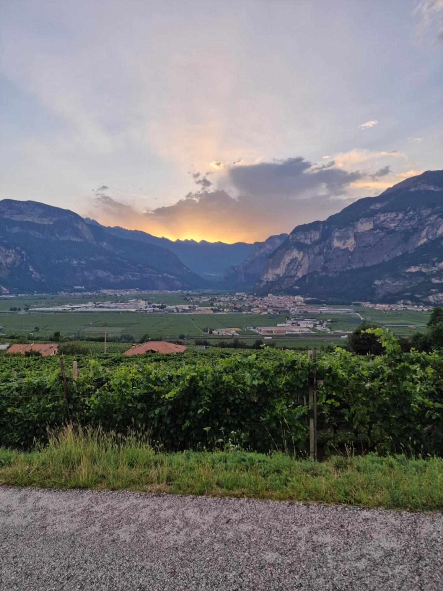 Hotel Garni La Vigna - Adult Friendly San Michele allʼAdige Exterior foto
